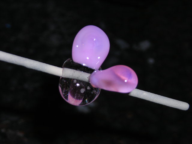 Datei:Blümchenkurs 7-4.JPG