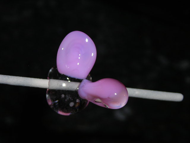 Datei:Blümchenkurs 7-5.JPG