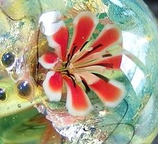 Datei:Blumenmurrini closeup.jpg