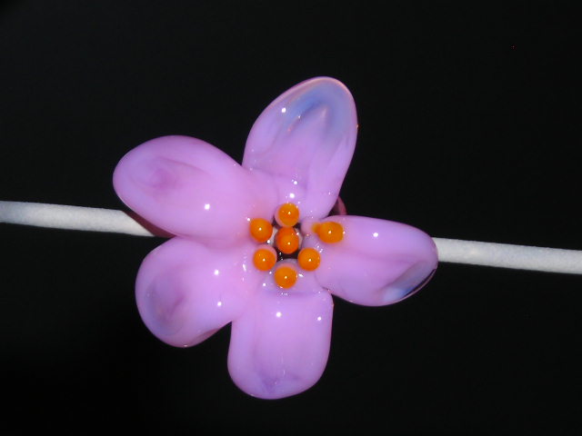 Datei:Blümchenkurs 7-16.JPG