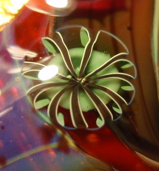 Elektramurrini beate.jpg