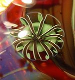 Elektramurrini beate.jpg