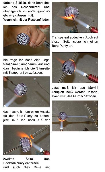Datei:Rosenmurrinitut-2-web.jpg